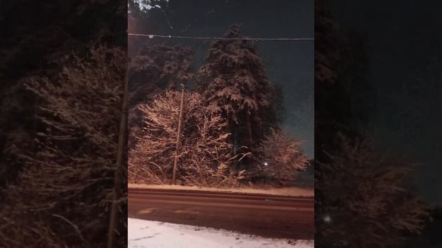 фотки