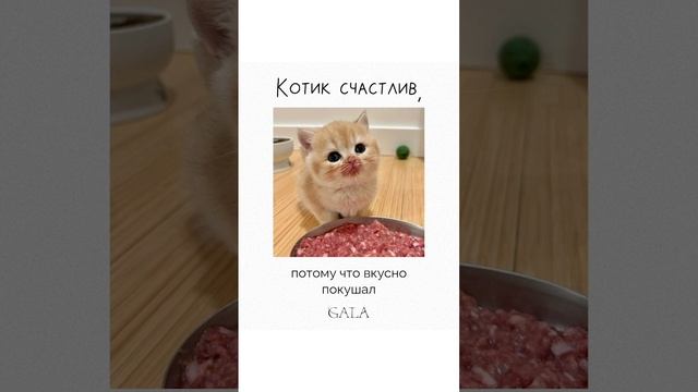 Сегодня отмечается Международный день счастливого человека