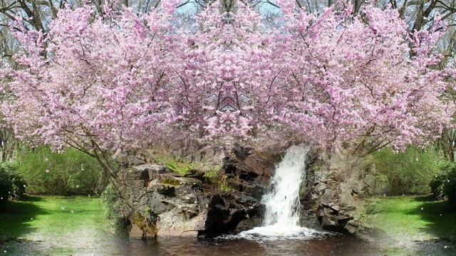 Красивая успокаивающая музыка.