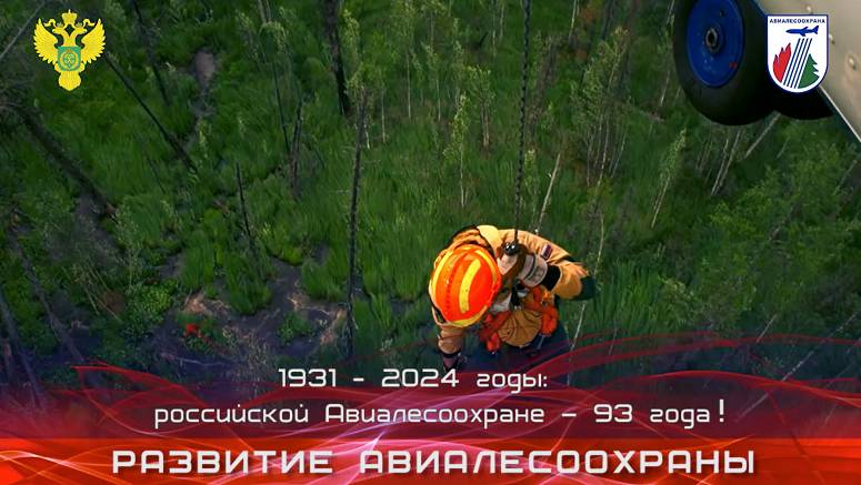 Развитие Авиалесоохраны-2024