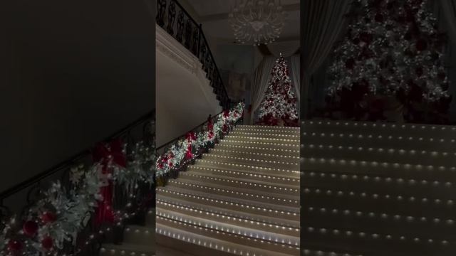Анастасия #волочкова украсила дом к Новому году. Дорого, богато! #новыйгод #юмор  #балерина
