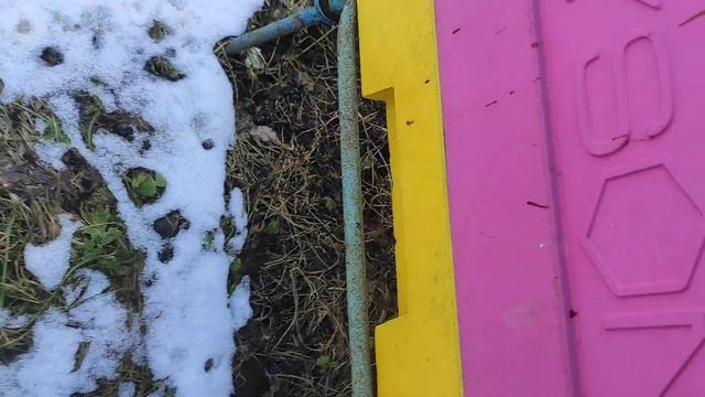 31 марта 2024 г.