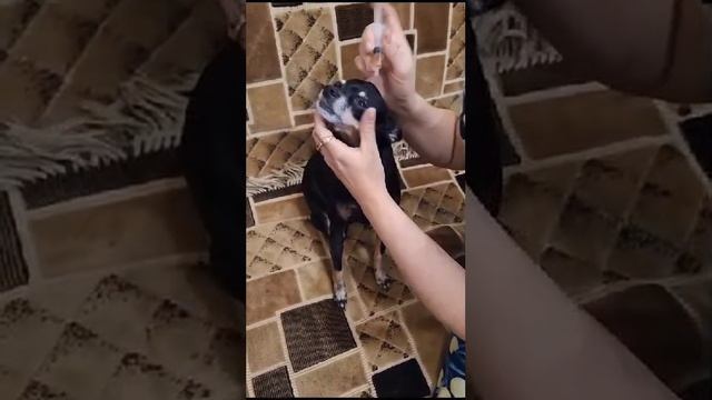 1000097136.mp4