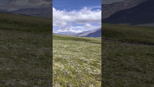 Камчатка | Вокруг Толбачиков, вулканы, лава, медведи