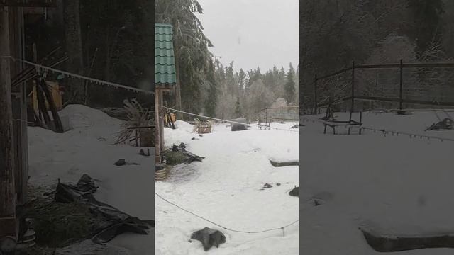 4 апреля 2024 г.