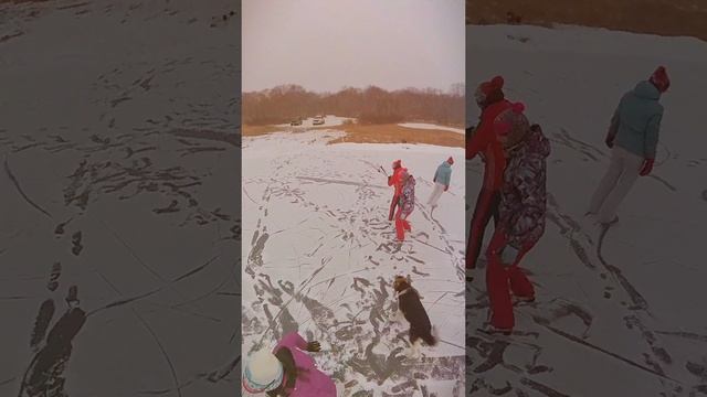 Коньки на Камчатке.