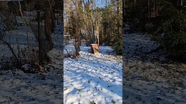 Усадьба Витгенштейна, немецко-финская кирха