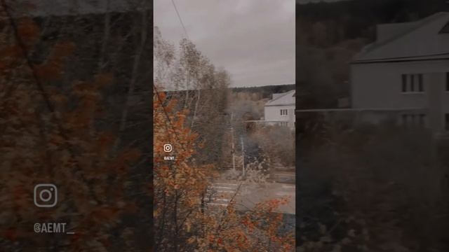 autumn in Novosibirsk 2021 #autumn