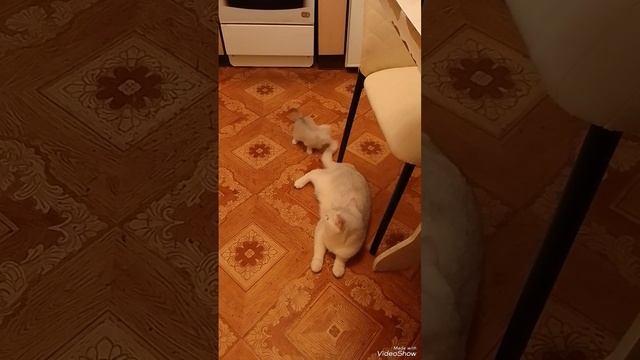 уровень спокойствия 100lvl