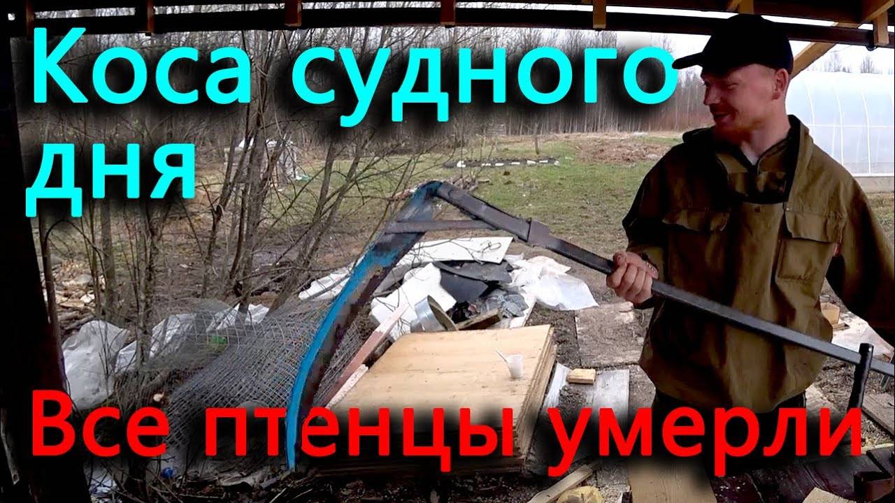 Электросети убили всех перепелят. Откорректировал фундамент. Сделали косу судного дня.