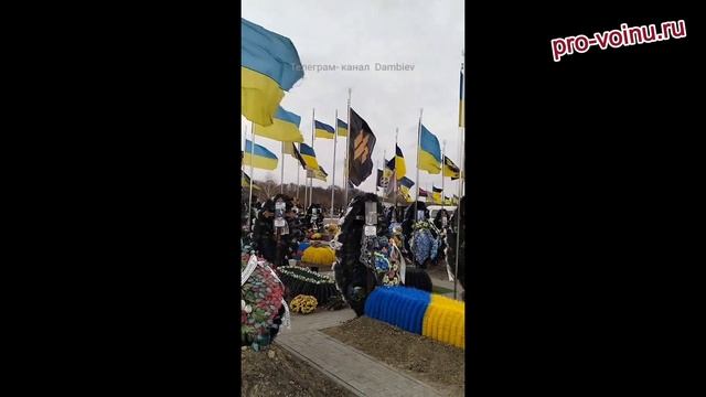 Кременчуг. Готовятся.