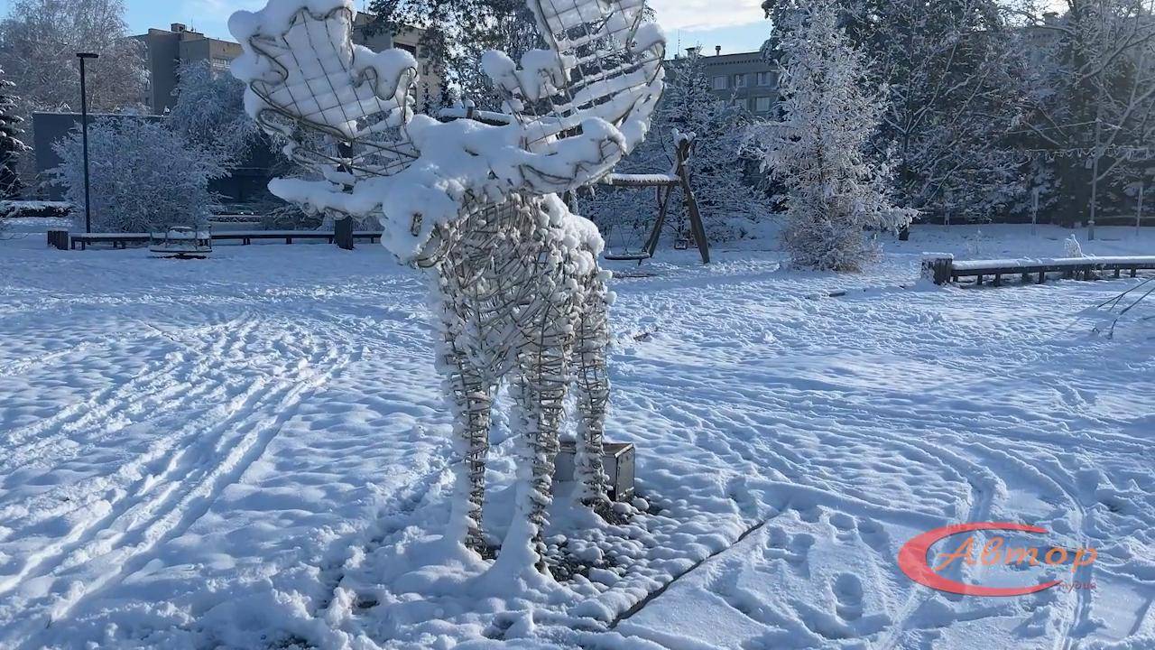 Телепередача «Лестница» №325. Эфир 28 ноября 2024 года ТРК «Заречный»