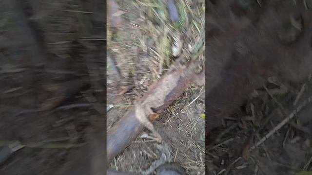 Непонятная железка