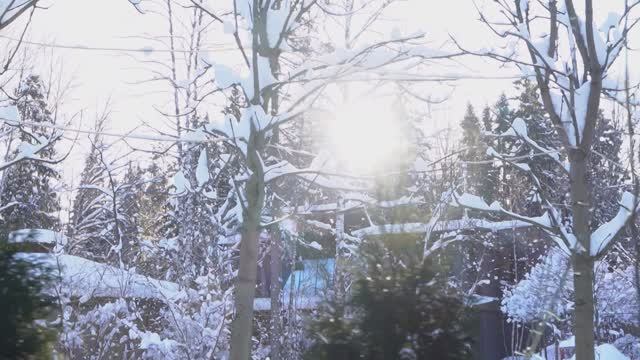 МЕСЯЦ ПРАЗДНИЧНЫХ БЛЮД