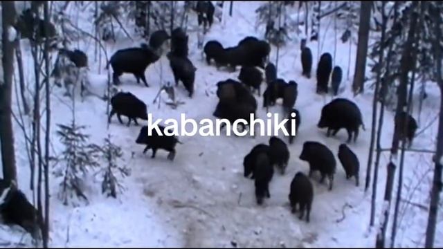 Kabanchiki