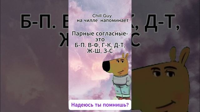 Chill Guy напоминает! А вы помните парные согласные?