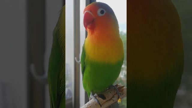 Snapchat-763060625.mp4