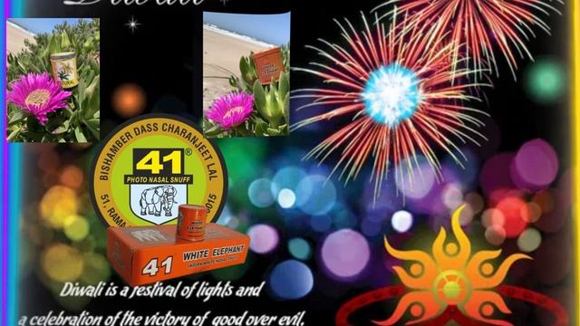 Праздник Diwali в Индии Компания Белый Слон 41 Photo Snuff поздравляет всех с праздником
