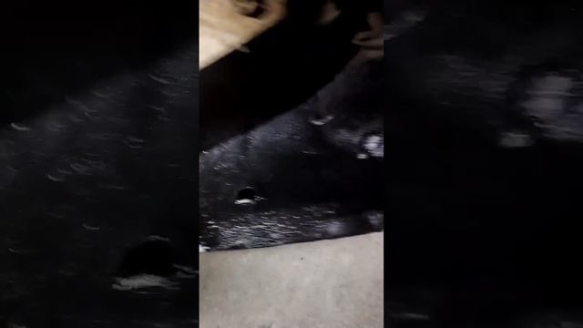Video by Сварочные работы г. Москва. (4)