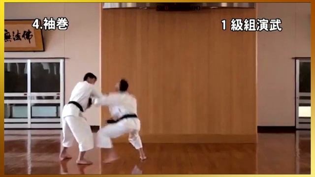 1 Kyu kumi-embu Shorinji Kempo. Demonstrations techniques, goho, juho. 少林寺拳法
