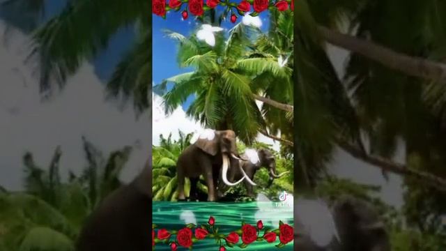 1732845620383.mp4