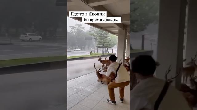ЛАЙК ПОСТАВЬ-НЕ СКУПИСЬ ,НА КАНАЛ - ПОДПИШИСЬ ,И У НАС В ЭТОЙ ЖИЗНИ БУДЕТ ВСЕ ЗА@БИСЬ ))))