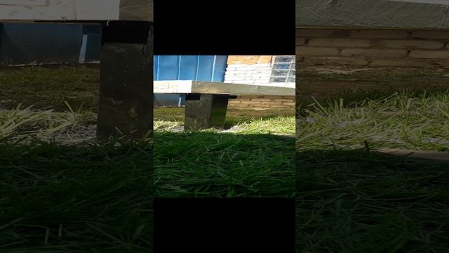 69.mp4