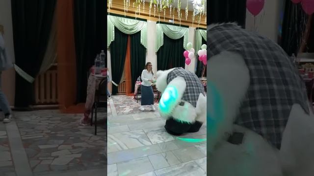 Этот медведь прирожденный танцор! Поздравление белый мишка