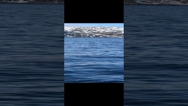 Рыбалка в Мурманске