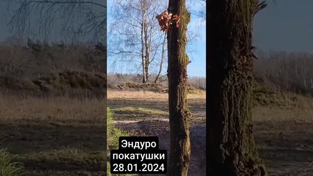 Часть 2. Эндуро покатушки 28.01.2024