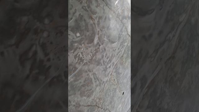 1000037176.mp4