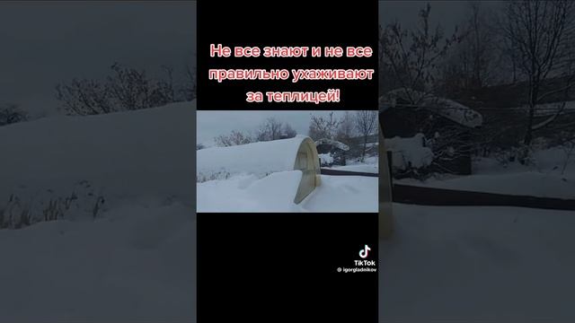 29-11-2024