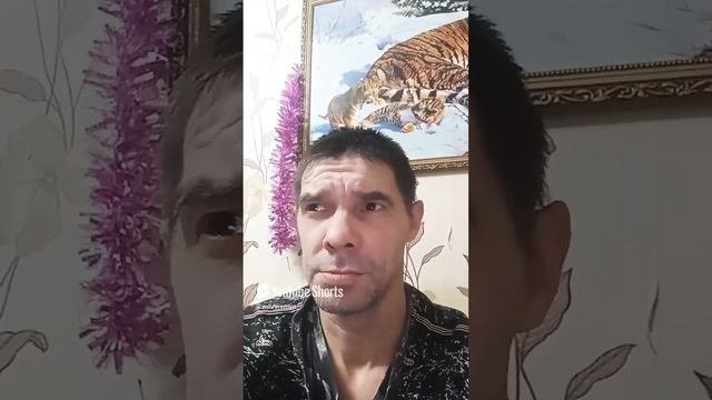 #юмор #госпошлина