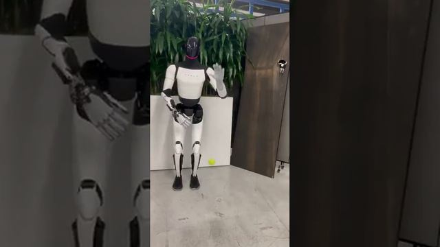 Tesla показала модернизированную руку робота Optimus