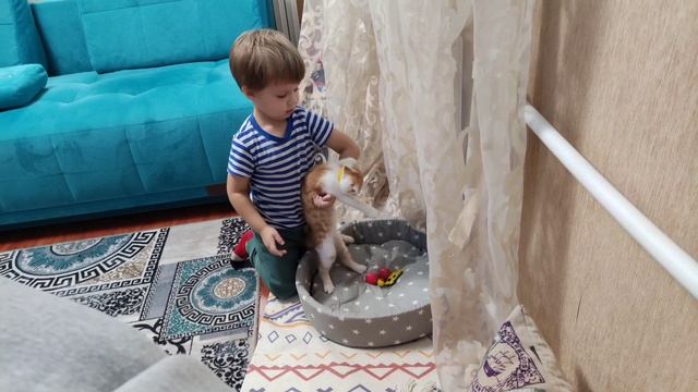 питомец Локи