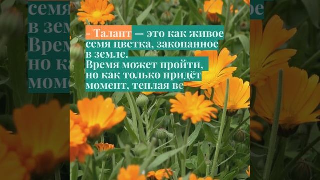 - Талант — это как живое семя,
