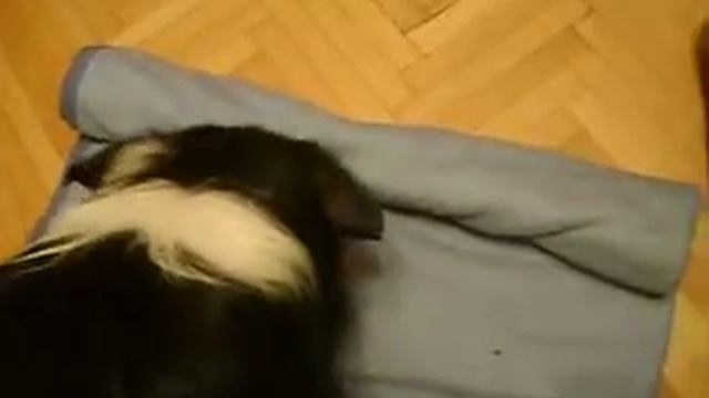 Учимся раскатывать коврик.