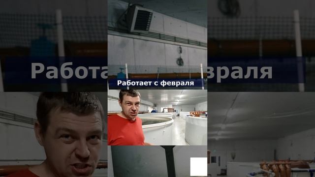 Система работает с февраля акварост