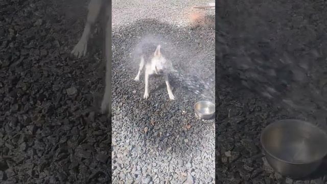 #джеси #системаохлаждения