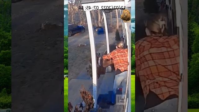 20 ноября 2023 г.