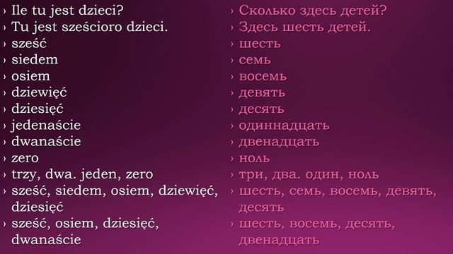 Зубрёжка | Польский язык | Часть 5