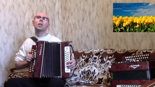 "Жёлтые тюльпаны".(Кавер-версия).Гармонь.