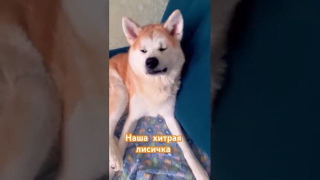 Кто тебя создал такую😂😍