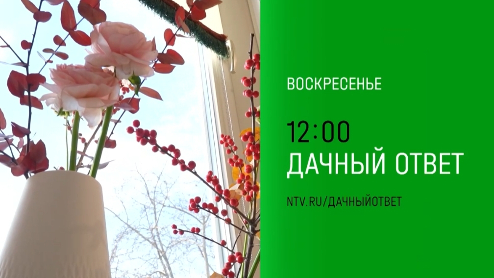 Анонс,Дачный ответ, новый выпуск,воскресенье в 12:00 на HTB, 2024