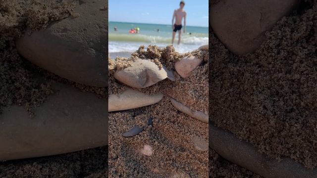 Черное море. Лермонтово 2024. Пляж. Стена из камня и песка. Отель Nice рекомендую! #отдых