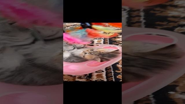 Плюшевая тучка))