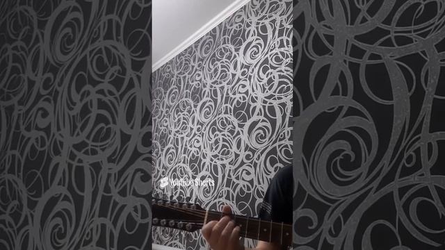 scene_output.mp4