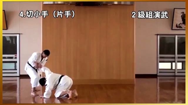 2 Kyu kumi-embu Shorinji Kempo. Demonstrations techniques, goho, juho. 少林寺拳法