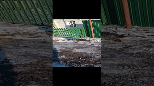 Где-то в России!!!