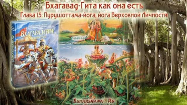 Глава 15 | Пурушоттама-йога, йога Верховной Личности | #Гитамрита